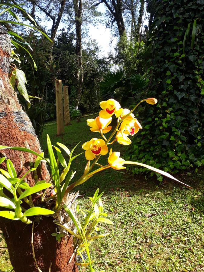 Casa Da Sol Villa Monte Verde  Kültér fotó